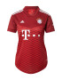 ADIDAS PERFORMANCE Dres 'FC Bayern München 21/22' bela / temno rdeča / svetlo rdeča - Pepit.si