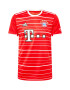 ADIDAS SPORTSWEAR Dres 'FC Bayern München' modra / rdeča / črna / bela - Pepit.si