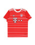 ADIDAS PERFORMANCE Funkcionalna majica 'FC Bayern München 22/23' ognjeno rdeča / črna / bela - Pepit.si