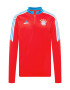 ADIDAS SPORTSWEAR Funkcionalna majica 'FC Bayern München Condivo 22' svetlo modra / rumena / rdeča / bela - Pepit.si