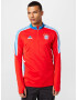 ADIDAS SPORTSWEAR Funkcionalna majica 'FC Bayern München Condivo 22' svetlo modra / rumena / rdeča / bela - Pepit.si