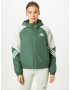 ADIDAS SPORTSWEAR Športna jakna pastelno zelena / temno zelena / bela - Pepit.si