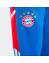 ADIDAS PERFORMANCE Športne hlače 'FC Bayern München Condivo 22' modra / zlata / rdeča / bela - Pepit.si