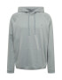 AllSaints Majica 'oakley oth hoody' siva - Pepit.si