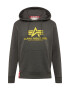 ALPHA INDUSTRIES Majica 'Basic Hoody' rumena / grafit - Pepit.si