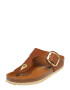 BIRKENSTOCK Japonke 'Gizeh Big Buckle' rjava / zlata - Pepit.si