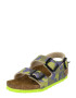 BIRKENSTOCK Odprti čevlji modra / siva / oliva - Pepit.si