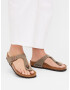 BIRKENSTOCK Japonke 'Gizeh' temno siva - Pepit.si