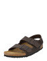 BIRKENSTOCK Sandali 'Milano' temno rjava - Pepit.si