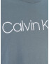 Calvin Klein Big & Tall Majica grafit / bela - Pepit.si