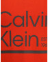 Calvin Klein Big & Tall Majica siva / oranžna - Pepit.si