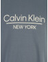 Calvin Klein Big & Tall Majica temno siva / bela - Pepit.si