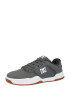 DC Shoes Nizke superge 'CENTRAL' siva / bela - Pepit.si