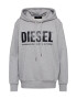 DIESEL Sweatshirt 'S-GIR-HOOD-DIVISION-LOGO' siva - Pepit.si