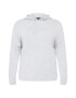 Dorothy Perkins Curve Sweatshirt svetlo siva - Pepit.si