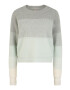 Free People Pullover 'AUTUMN SKY' pastelno zelena / siva / svetlo siva / kremna - Pepit.si