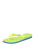 HAVAIANAS Japonke neonsko zelena / rumena / temno modra / zelena / nebeško modra - Pepit.si