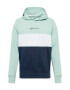 HOLLISTER Sweatshirt 'SB21' zelena / bela / mornarska - Pepit.si