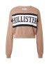 HOLLISTER Pulover 'BTS ASIA' svetlo rjava / črna / bela - Pepit.si