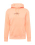 HOLLISTER Sweatshirt marelica / črna - Pepit.si