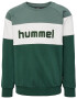 Hummel Majica 'Claes' jelka / bela - Pepit.si