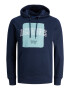 JACK & JONES Majica 'Artist' svetlo modra / temno modra / bela - Pepit.si