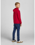 Jack & Jones Junior Majica grenada / črna / bela - Pepit.si