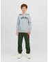 Jack & Jones Junior Majica pegasto siva / črna - Pepit.si