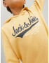 Jack & Jones Junior Majica rumena / siva / bela - Pepit.si