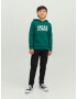 Jack & Jones Junior Majica smaragd / bela - Pepit.si