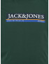 Jack & Jones Plus Majica 'CODYY' modra / mornarska / temno zelena / bela - Pepit.si