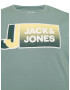 Jack & Jones Plus Majica pastelno zelena / mešane barve - Pepit.si