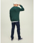 JACK & JONES Pulover 'Park' temno zelena / bela - Pepit.si