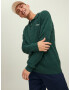 JACK & JONES Pulover 'Park' temno zelena / bela - Pepit.si