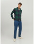 JACK & JONES Srajca 'Owen' pastelno zelena / temno zelena / bela - Pepit.si