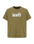 Levi's® Big & Tall Majica 'BIG SS RELAXED FIT TEE GREENS' oliva / bela - Pepit.si