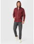 LEVI'S Jopa na zadrgo 'CORE NG ZIP UP REDS' rdeča / bordo / bela - Pepit.si