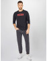 LEVI'S Majica 'RELAXED LS GRAPHIC TEE BLACKS' melona / črna - Pepit.si