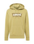 LEVI'S Majica 'STANDARD GRAPHIC HOODIE NEUTRALS' oliva / trst / bela - Pepit.si