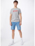 LEVI'S Majica 'SS RELAXED FIT TEE GREYS' svetlo siva / rdeča / bela - Pepit.si