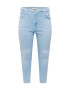 Levi's® Plus Kavbojke 'PLUS MILE HIGH SS LIGHT INDIGO - WORN IN' svetlo modra - Pepit.si