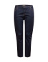 Levi's® Plus Kavbojke '724 PL HR STRAIGHT DARK INDIGO - FLAT FINISH' temno modra - Pepit.si