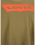 Levi's® Big & Tall Majica 'B&T BIG GRAPHIC TEE GREENS' oliva / temno oranžna - Pepit.si