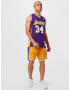 Mitchell & Ness Majica 'LA LAKERS - NBA SWINGMAN' rumena / temno liila / bela - Pepit.si