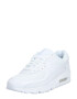 Nike Sportswear Nizke superge 'Air Max 90' srebrno-siva / bela - Pepit.si