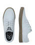 Nike Sportswear Nizke superge 'Zoom Stefan Janoski' svetlo siva - Pepit.si