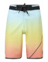 QUIKSILVER Badehose 'SURFSILK NEW WAVE 20' mešane barve - Pepit.si