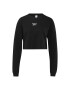 Reebok Classics Longsleeve 'Vector' črna - Pepit.si