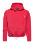 Superdry Majica 'MOUNTAIN' rdeča - Pepit.si