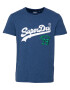 Superdry Majica 'Source' modra / zelena / bela - Pepit.si